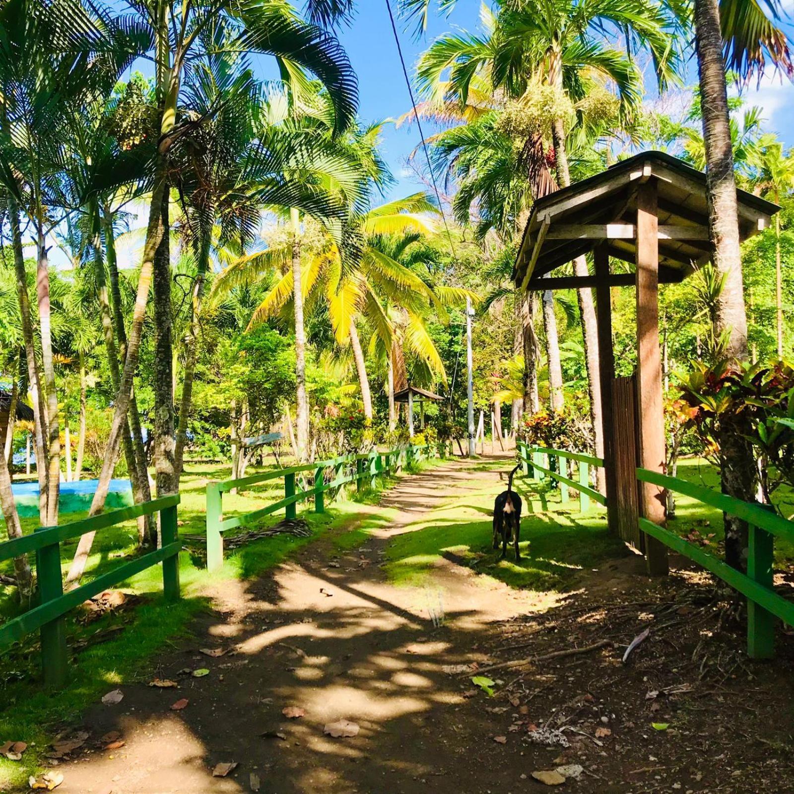 Hostal Doble Vista Capurganá 외부 사진