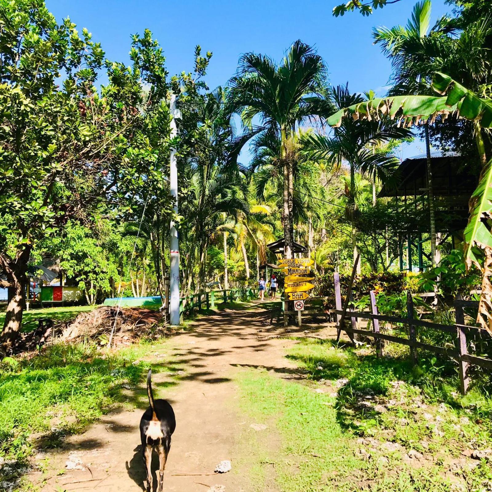 Hostal Doble Vista Capurganá 외부 사진
